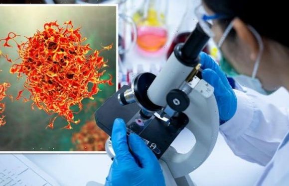 Cancer breakthrough as ‘effective’ treatment targets ‘major cancers’ without side effects