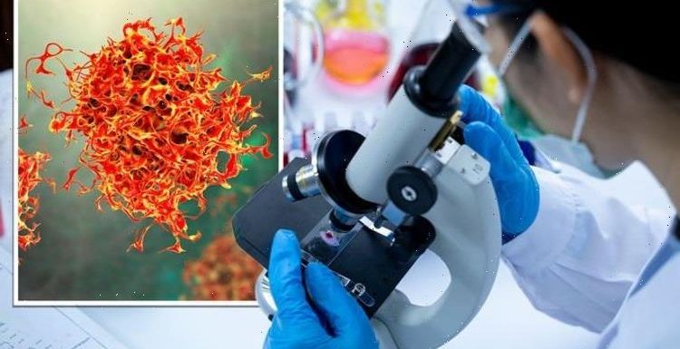 Cancer breakthrough as ‘effective’ treatment targets ‘major cancers’ without side effects