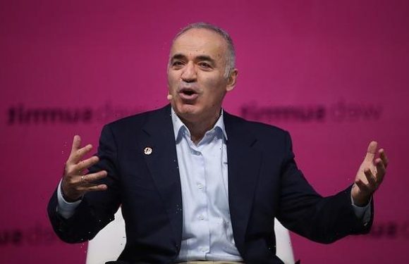 Chess legend Garry Kasparov says humans are more of a threat than AI
