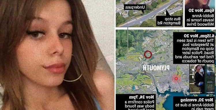 Chilling graphic reveals final moments of Bobbi-Anne McLeod who vanished just 15 mins after leaving home as 2 men held