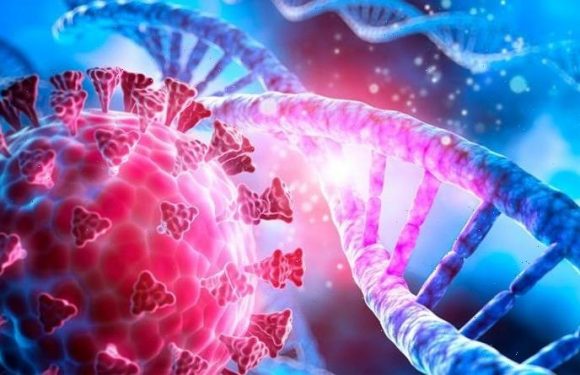 Covid breakthrough as scientists identify ‘high risk’ gene that doubles risk of death
