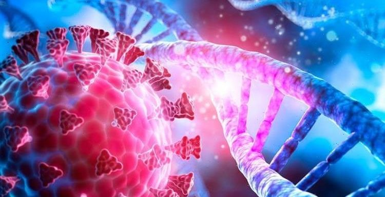 Covid breakthrough as scientists identify ‘high risk’ gene that doubles risk of death