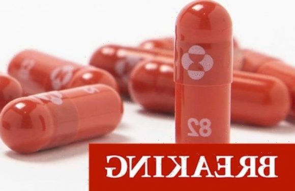 Covid fightback: UK to deploy ‘groundbreaking’ wonder-pill that cuts deaths by 30%