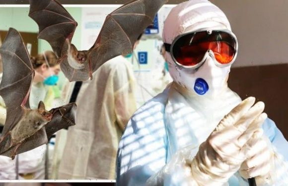 Covid origin mystery unravels as ‘much wider distribution than previously thought’ found