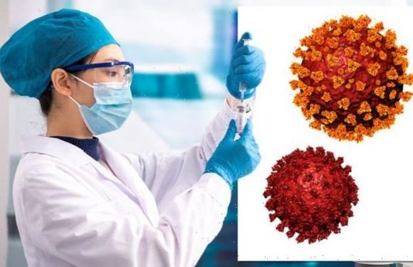 Covid warning over ‘new super-variant’ as strains COMBINE: ‘Must be taken seriously’