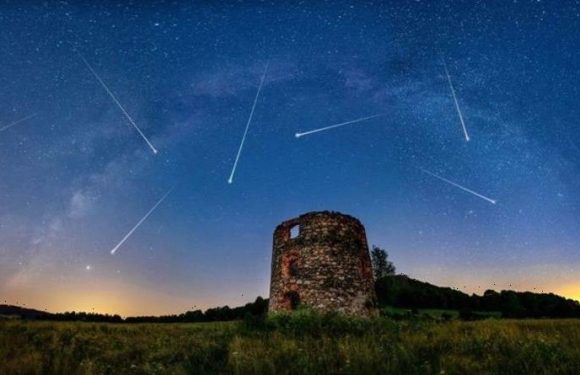 Every meteor shower you can see in the UK in 2021 as Leonids stun with staggering display