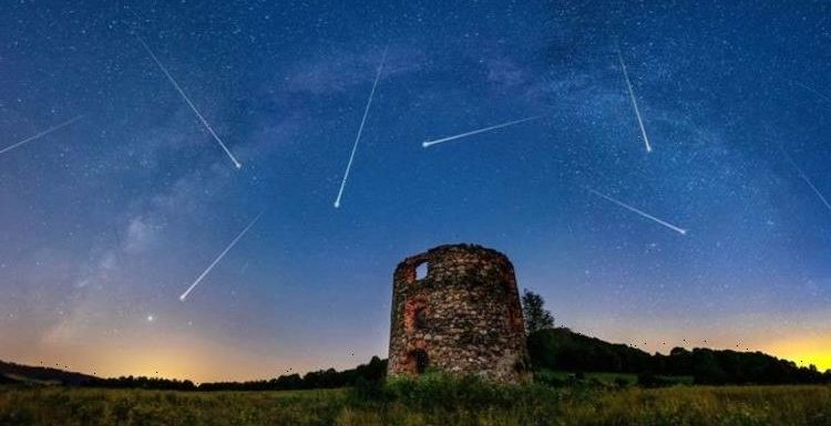 Every meteor shower you can see in the UK in 2021 as Leonids stun with staggering display