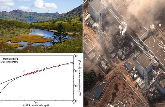 Experts say lake near Fukushima will be radioactive for 30 years