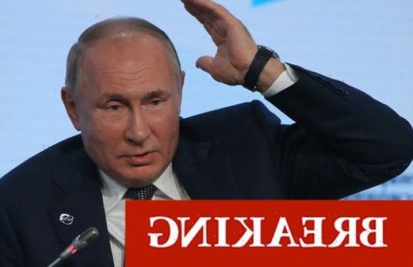 Germany stokes Putin fury and SUSPENDS Russia gas pipeline amid EU energy crisis