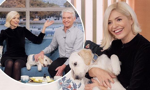 Holly Willoughby brings her new puppy Bailey to This Morning