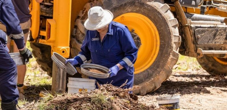 Human remains found in bushland during search for missing campers