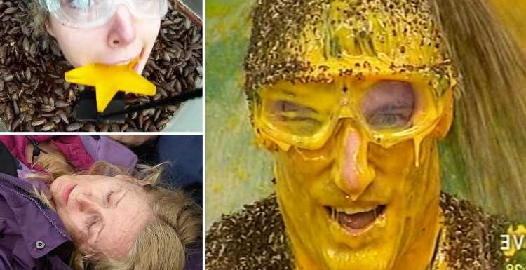 I'm A Celeb's 20 funniest moments – from Dean Gaffney's hysterics to Gemma Collins' 'malaria'