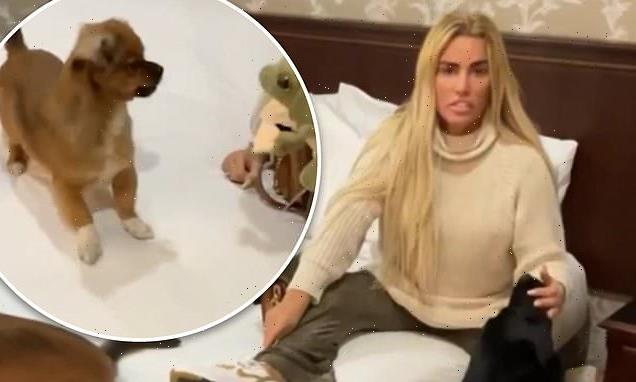 Katie Price reveals she is living 'out of a suitcase' with Carl Woods