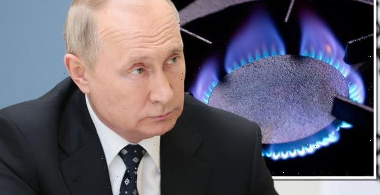 Millions of Britons face blackouts as Russia sparks winter of hell fears: ‘Not enough gas’