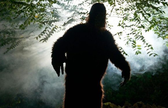 ‘Muscular and hairy’ Bigfoot ran in forest like Olympic sprinter, says filmmaker