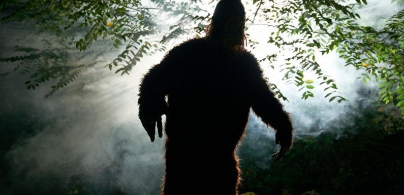 ‘Muscular and hairy’ Bigfoot ran in forest like Olympic sprinter, says filmmaker
