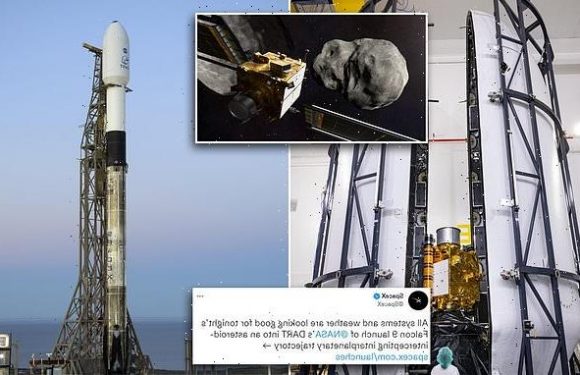 NASA is launching its DART mission aboard SpaceX Falcon 9 rocket
