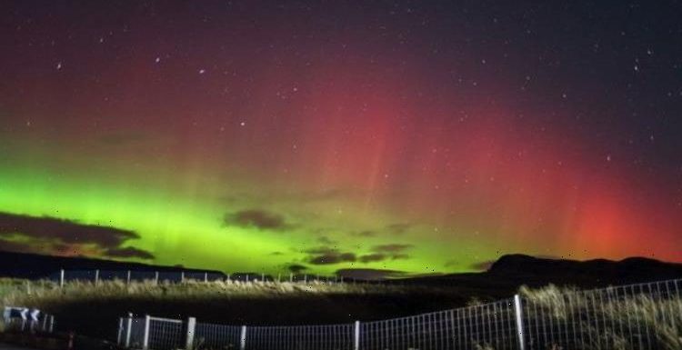 Northern Lights TONIGHT: Stargazers in UK to be treated to dazzling show