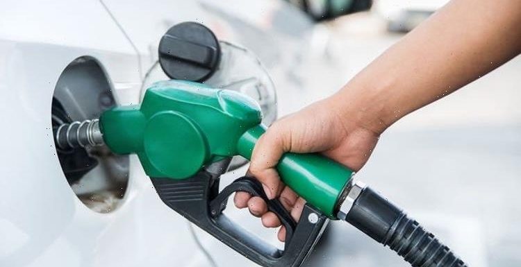 Petrol shortage warning as net zero pledge poses ‘fundamental threat’ to supplies again