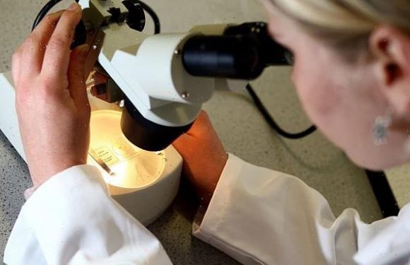 Scientists suggest Alzheimer's jab can reverse dementia in mice