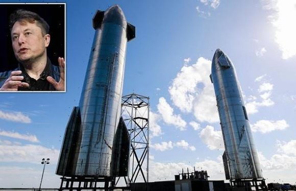 SpaceX could send its Starship rocket into orbit in JANUARY