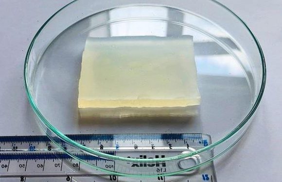 'Super jelly' made from 80 per cent water can survive being run over