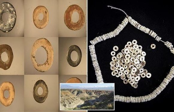 Almost identical Ostrich eggshell beads have been found across Africa