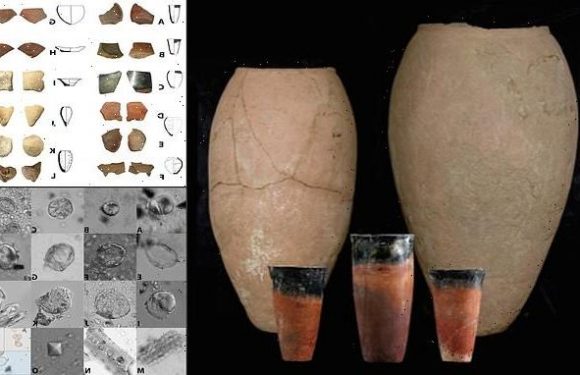Ancient Egyptian elites drank 'porridge-like beer' 5,800 years ago