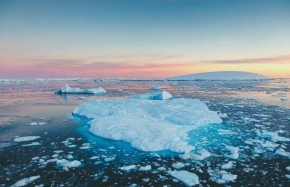 Antarctica breakthrough as researchers stunned by ‘oasis of life’ found 200m below ice
