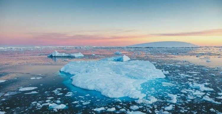 Antarctica breakthrough as researchers stunned by ‘oasis of life’ found 200m below ice