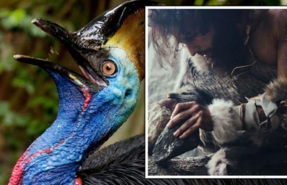 Archaeologists stunned by ancient human practice of raising deadly birds: ‘Could kill you’