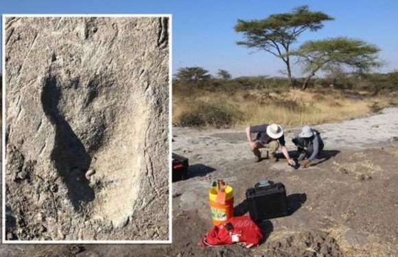 Archaeology breakthrough: Mystery of ‘unusual’ 3.7 million-year-old human fooprints solved