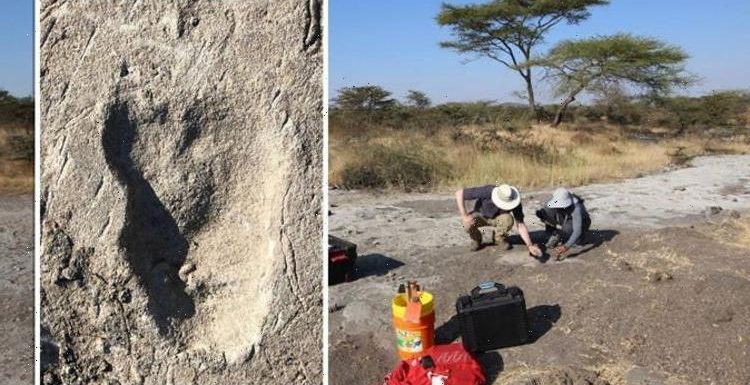 Archaeology breakthrough: Mystery of ‘unusual’ 3.7 million-year-old human fooprints solved