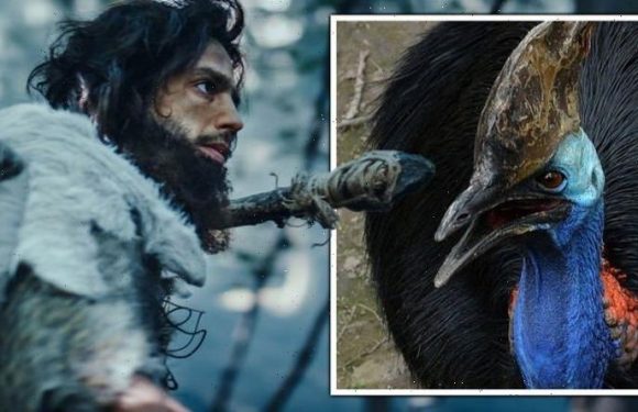 Archaeology breakthrough after ancient human study: ‘Implications enormous!’