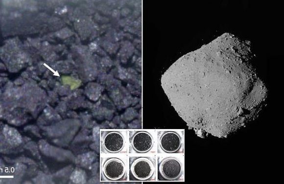 Asteroid Ryugu contains the 'most primordial' materials EVER examined