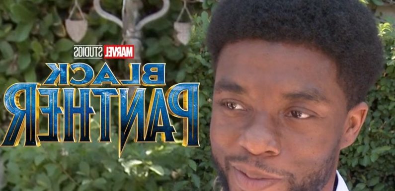 Chadwick Boseman Would Want Black Panther Role Recast, Says Brother