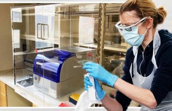 Covid breakthrough: Scientists develop ‘more accurate’ breathalyser test to detect cases