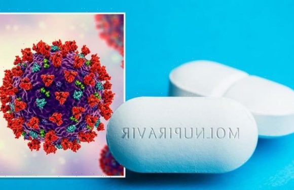 Covid breakthrough as UK recruits for trial of wonderdrug tipped to slash hospitalisations
