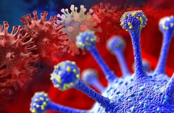 Covid vaccine breakthrough: New needle-free technology set to obliterate horror variants