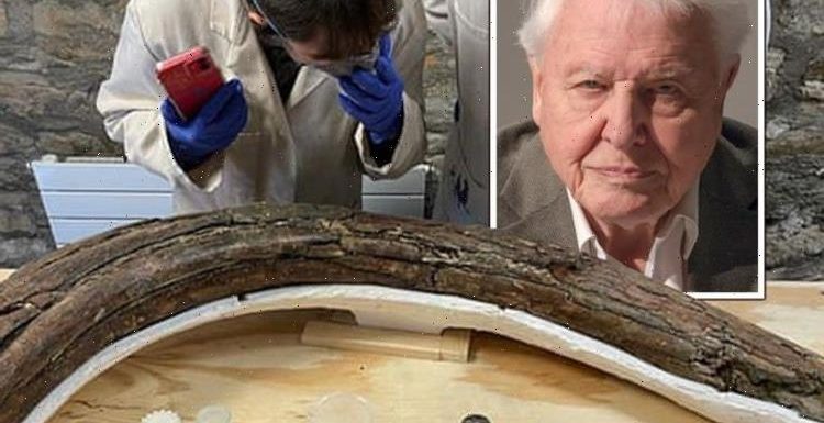 David Attenborough stunned as ‘incredibly rare’ ICE AGE time capsule found in UK