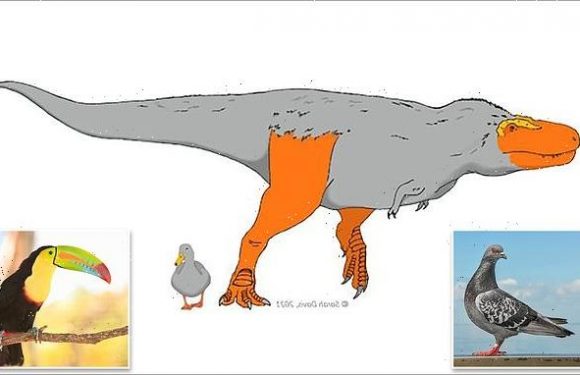 Dinosaur faces and feet may have popped with COLOUR to entice mates