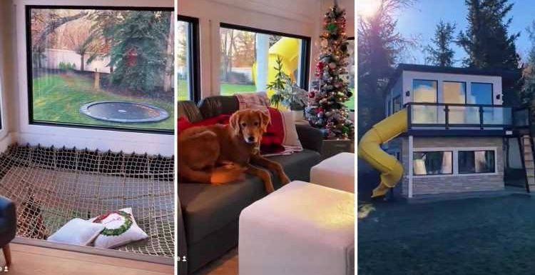 Dog owner slammed for having 'too much money' after showing off two-storey kennel with TV, Christmas tree and a slide