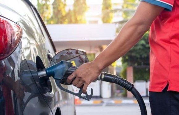 E10 warning as green fuel replacement found to emit as much pollution as standard petrol