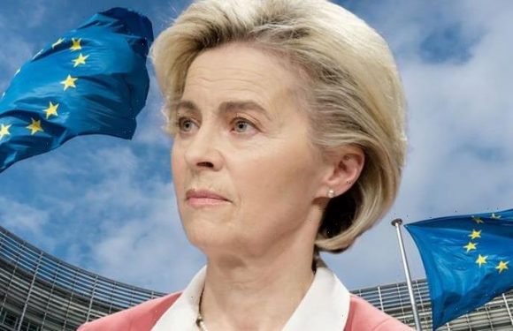 EU’s green plans torn apart as Germany’s climate minister breaks ranks to defy Brussels