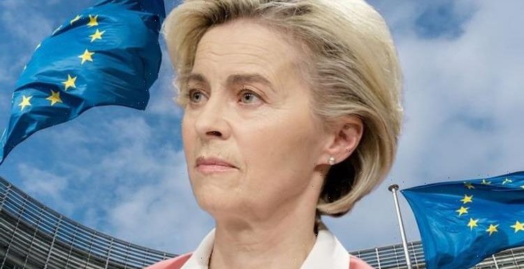 EU’s green plans torn apart as Germany’s climate minister breaks ranks to defy Brussels