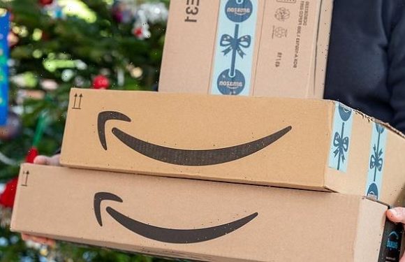Experts warn Amazon crash 'could impact already tight delivery model'