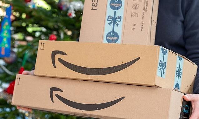 Experts warn Amazon crash 'could impact already tight delivery model'