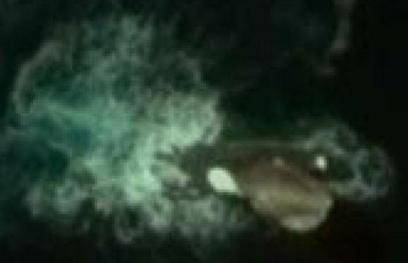 Google Maps user claims to have found mythical giant sea monster near Antarctica