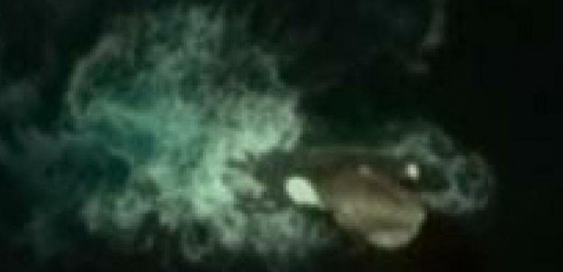 Google Maps user claims to have found mythical giant sea monster near Antarctica