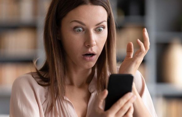 Google Maps users amused after discovering rude-shaped fields